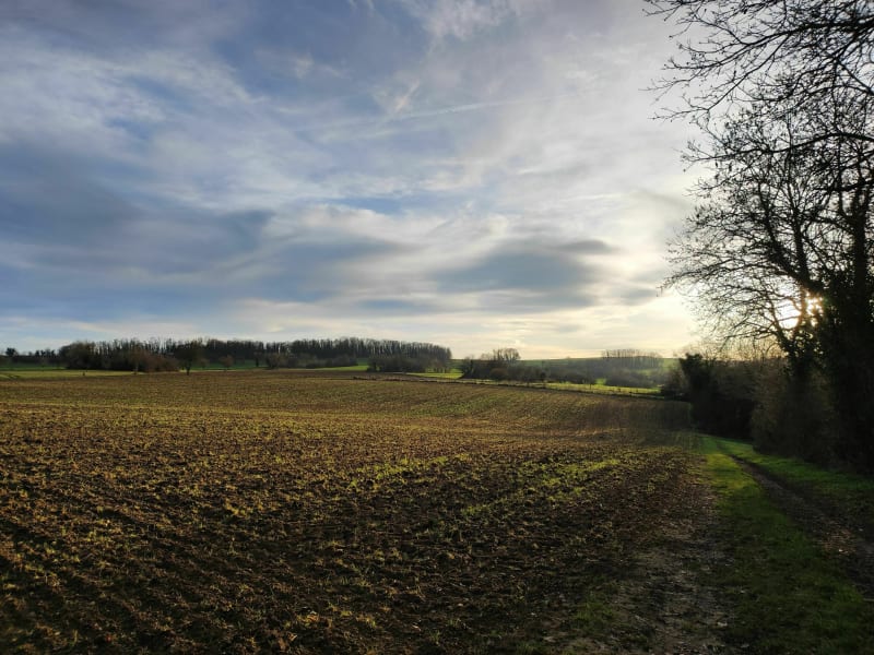 Balade dans la campagne de Rixheim - Rixheim