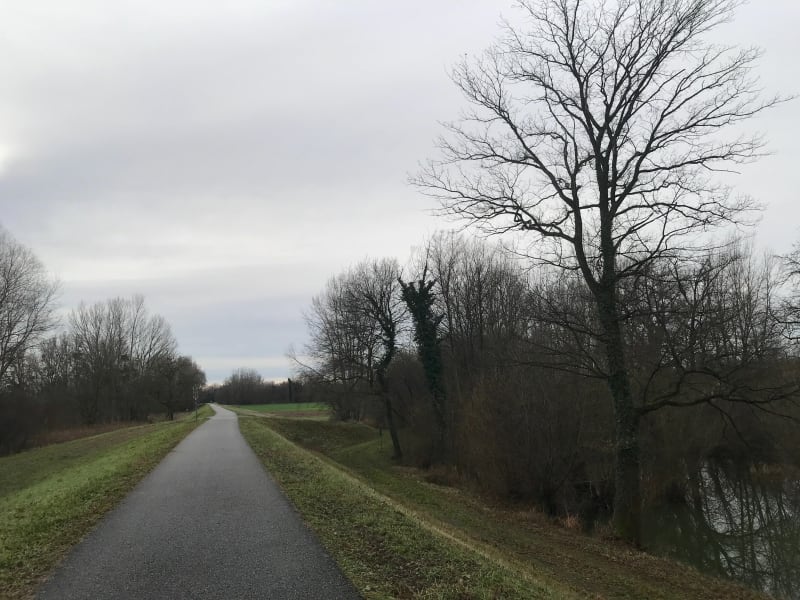 Balade en bord de Rhin - Seltz