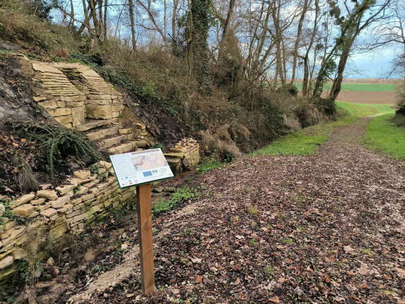 Plaine de Saône et Source Saint-André - Glanon