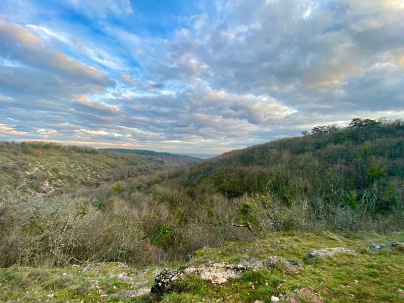 Source de Crosne et combe du pré - Marsannay-la-Côte