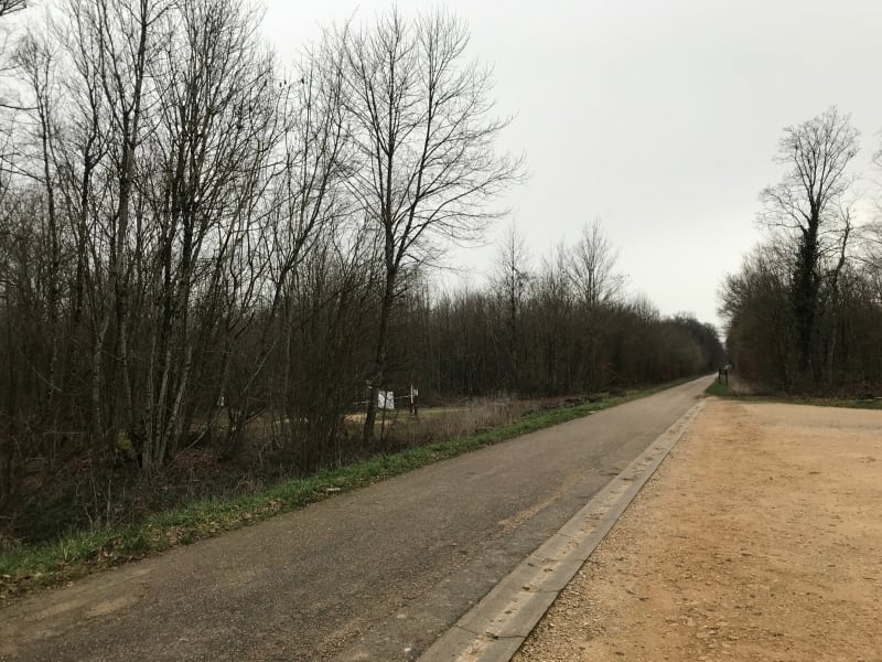 Forêt de Puvenelle 54 Maidière - Montauville