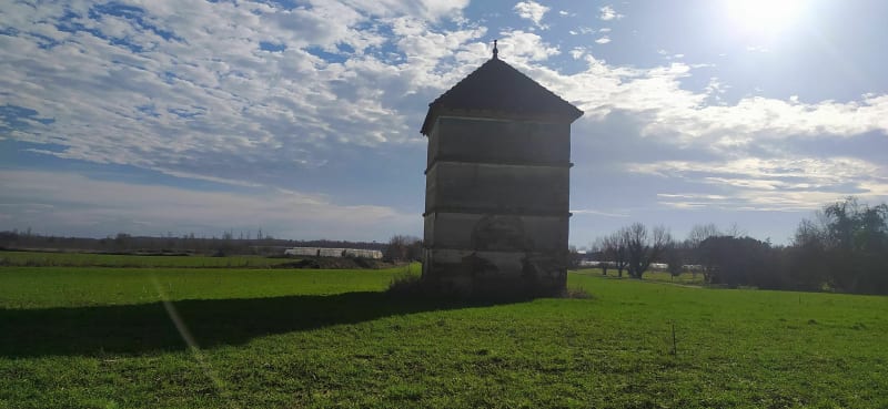 Entre Tarn et Garonne et Haute Garonne dans les vignes - Orgueil