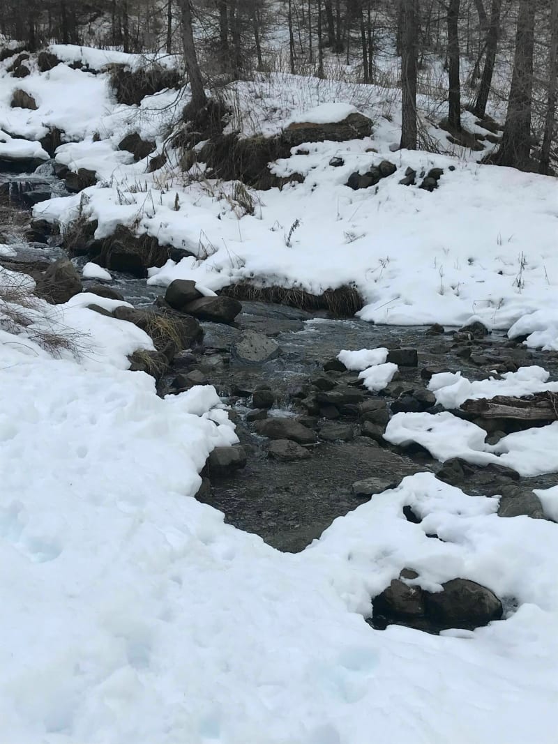 Sneeuwschoenwandeling bij de Buissard-stroom - Chaillol