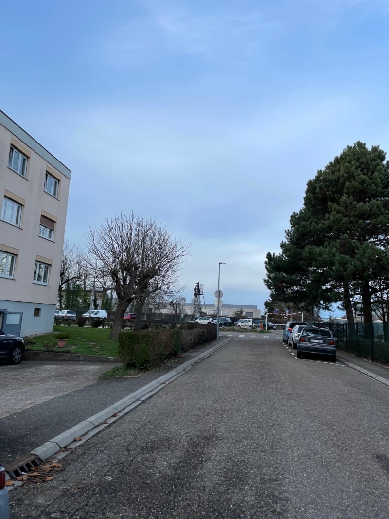 Balade dans les champs de Lingolsheim - Lingolsheim