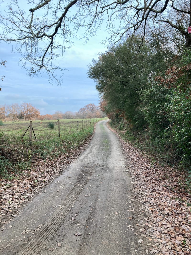 Promenade tranquille autour de Sauzet - Sauzet