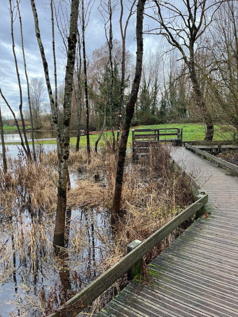 Balade sur le Delta Vert - Bègles