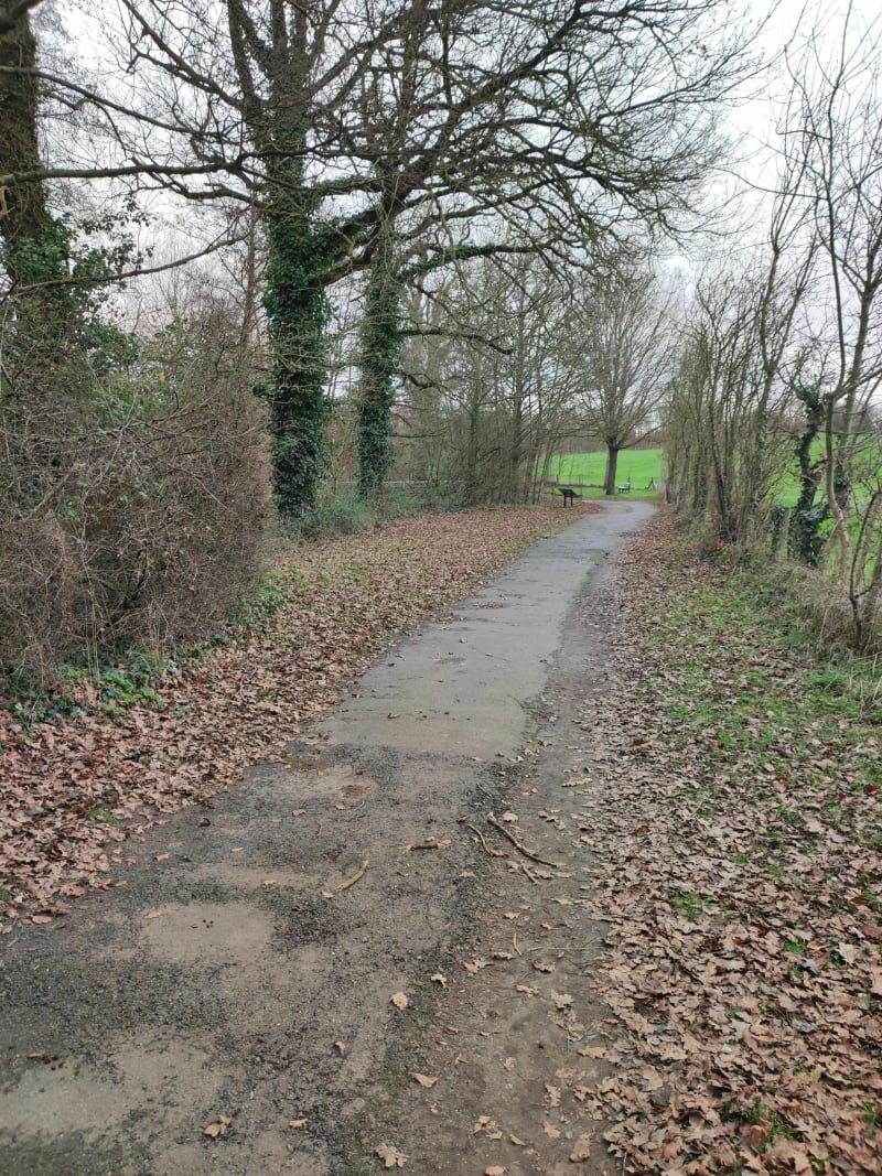 Parcours urbain clairefontaine/parc de moine - Cholet