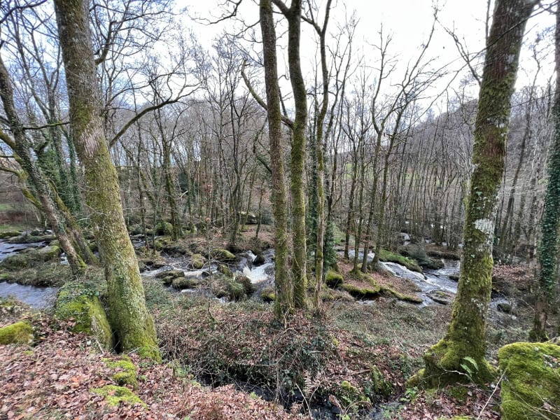 La planchette infernale - Saint-Victor-en-Marche
