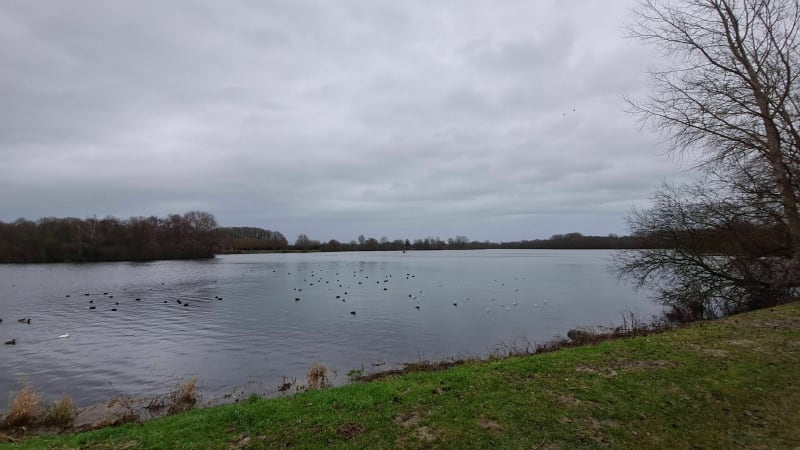 Autour du lac du héron - Villeneuve-d'Ascq