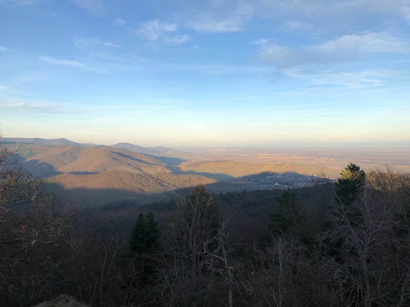 Rando trail Ammerschwirh le Galtz - Ammerschwihr