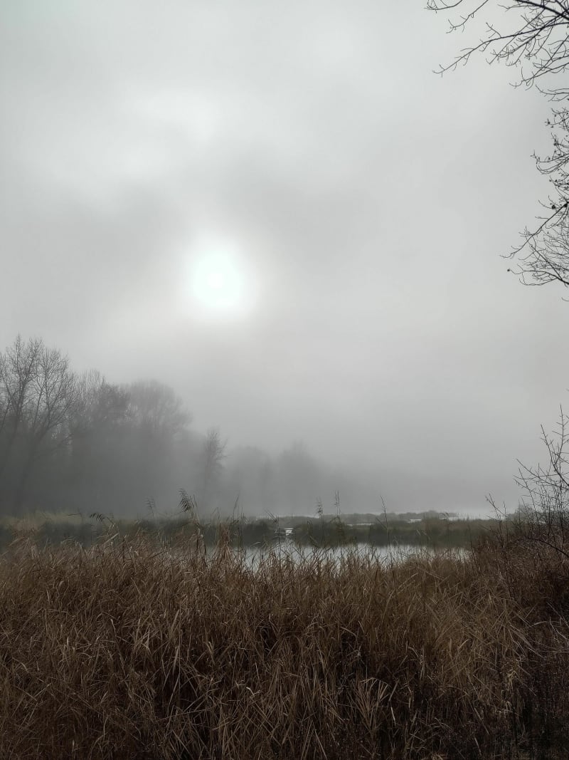 Marche nordique à l'Île Fribaud - Pontcharra