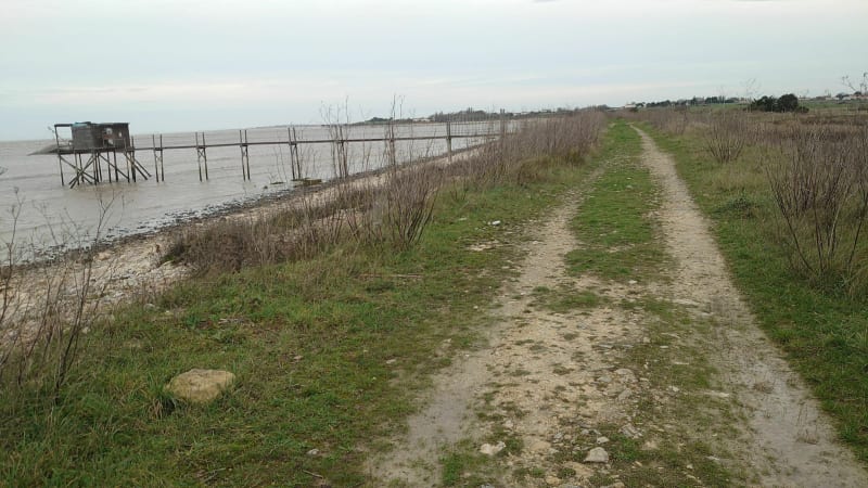 Mer et Marais entre Fouras et Yves - Fouras