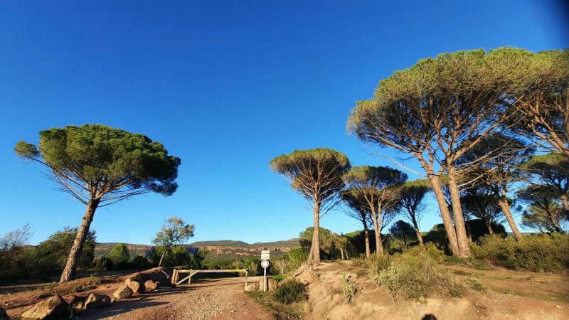 Promenade Forêt Domaniale de la Colle du Rouet - Le Muy