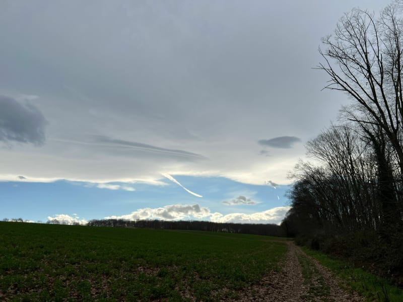 Alternative du Bois Taberné Bergos, avec les chiens - Ibos