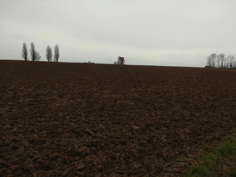 Balade direction le château d'eau de Kolbsheim - Achenheim