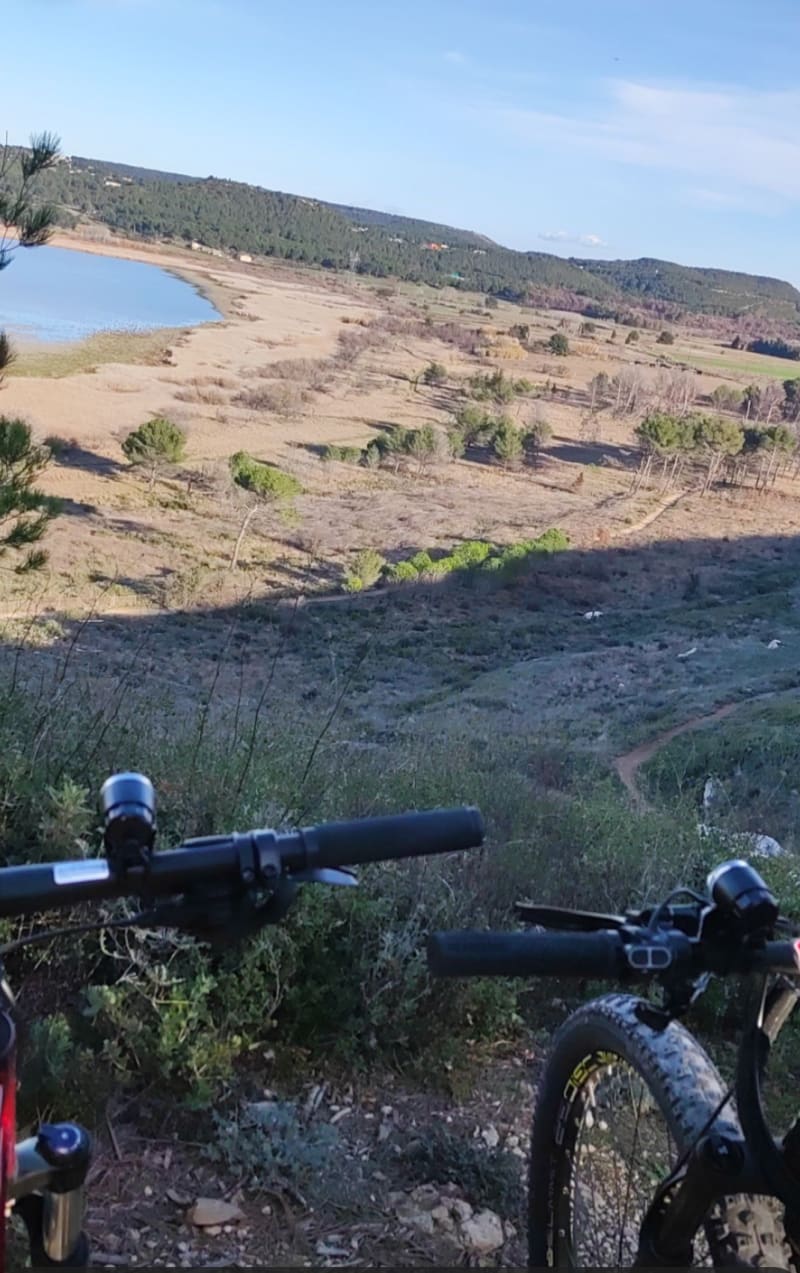 Sortie en forêt de Castillon - Port-de-Bouc