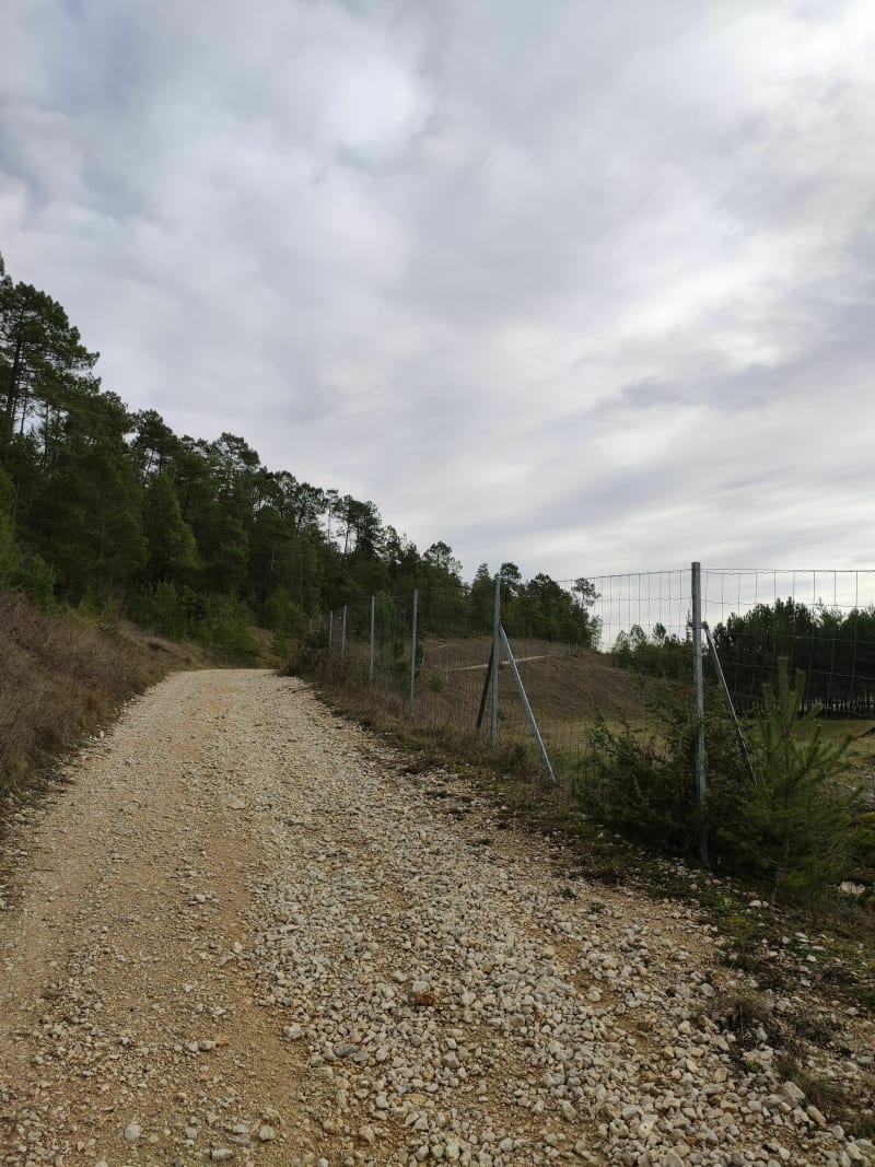 Eyliac par les hauts de la Peyrade - Bassillac et Auberoche