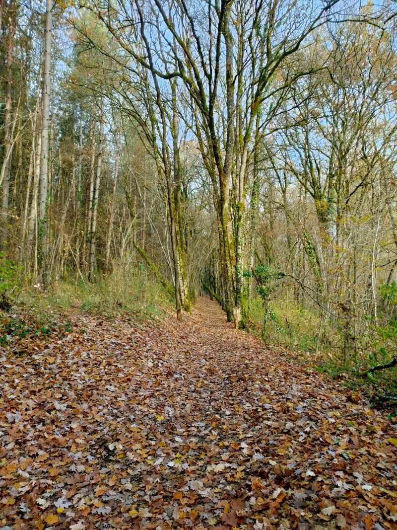 Balade au pied de Moirax - Moirax