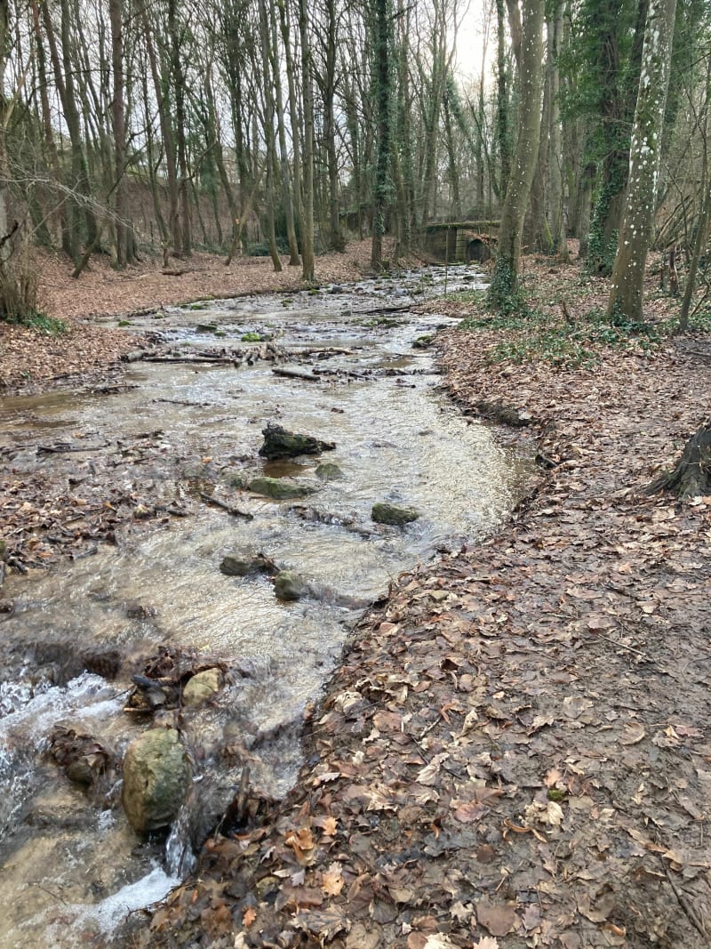 Par Les vallons froids de Villers - Villers-lès-Nancy