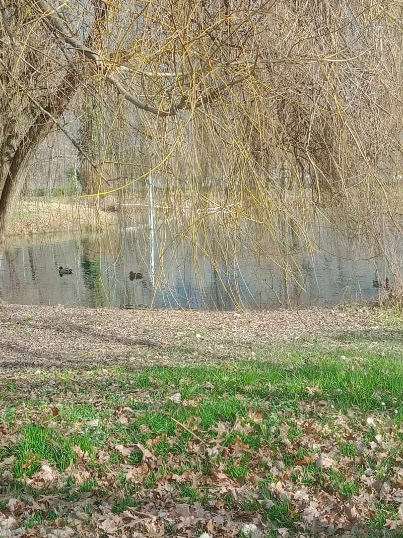Balade à vélo d'Echirolles à Saint Egrève - Échirolles