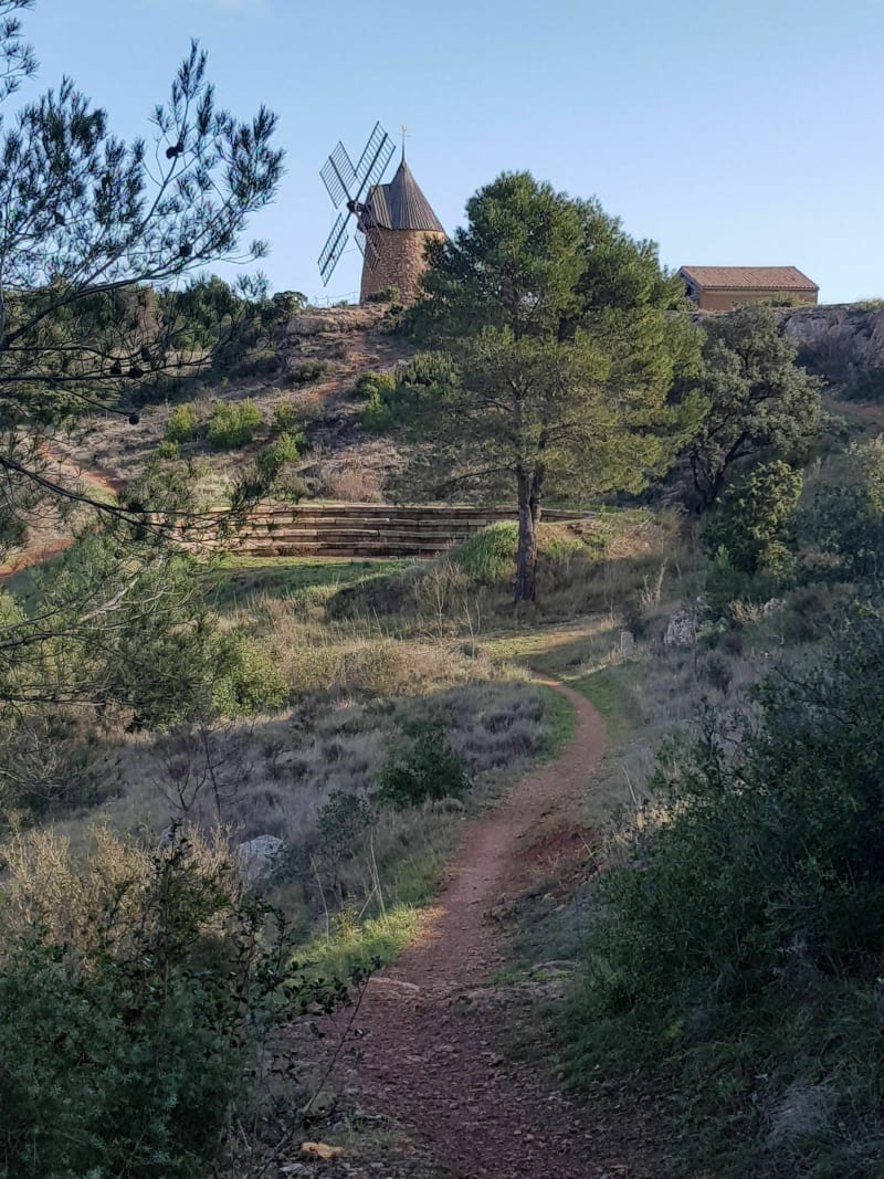 Les Clapas à Saint-Chinian - Saint-Chinian