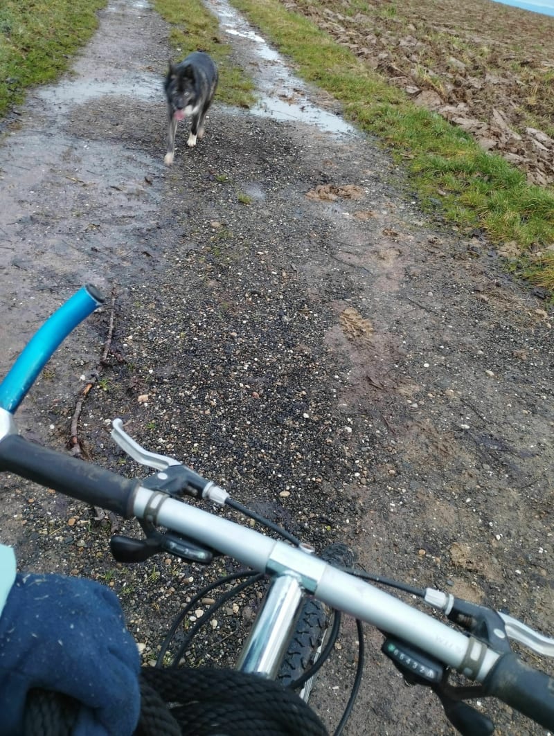 Balade de Kindwiller sur chemin en dur - Kindwiller