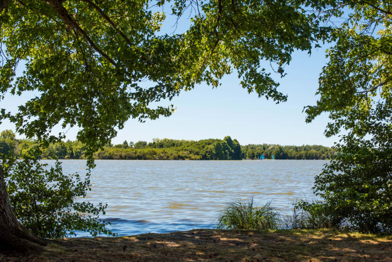 Tour du lac de l'Escourou - Soumensac