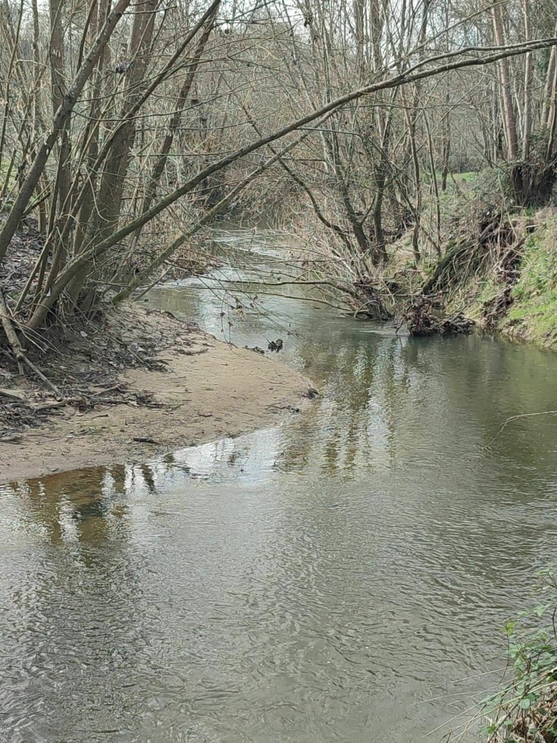 Petit tour de Cassen et Lande Mayou - Saint-Geours-d'Auribat