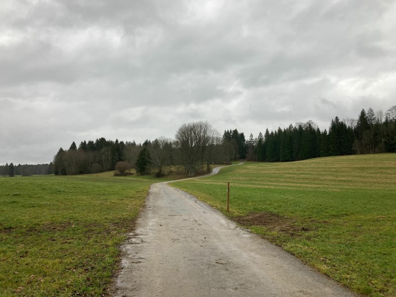 En famille, dans la forêt de Montperreux - Montperreux