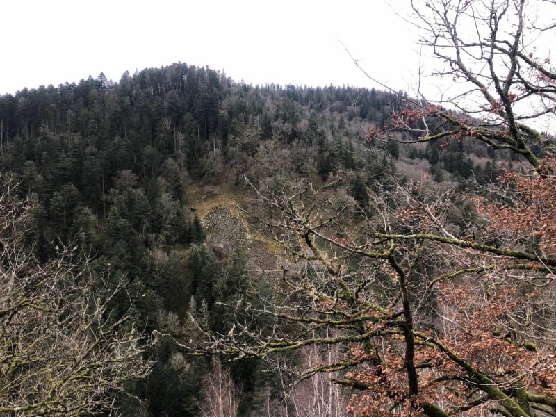 Du col de Cheneau à la brasserie de la Madelon - Le Syndicat