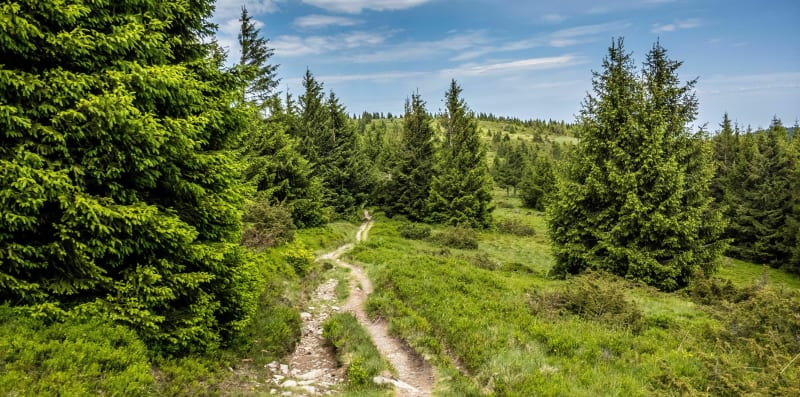 Le sentier des passeurs - La Broque