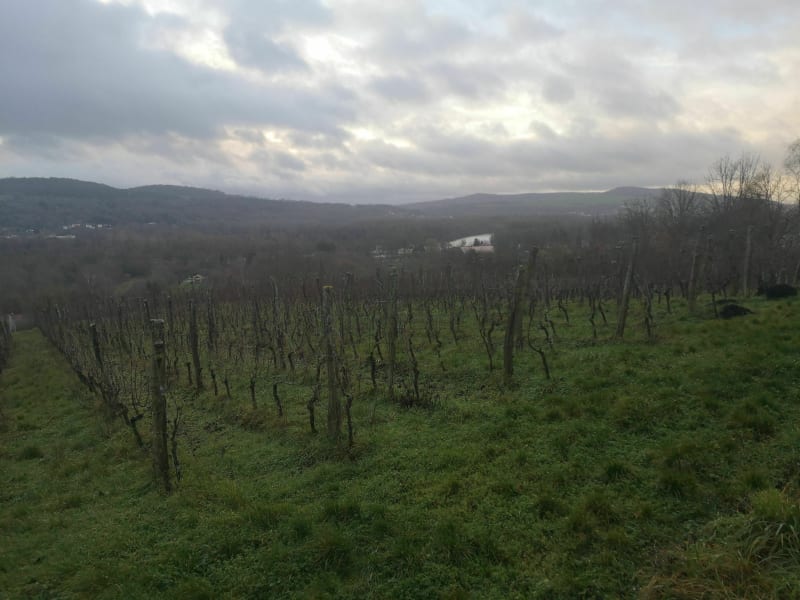 D'Ancy à Gravelotte - Ancy-Dornot