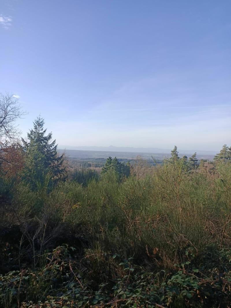 Belle balade près de Paslières - Paslières
