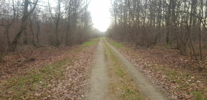 Petit tour depuis la Malpierre - Champigneulles