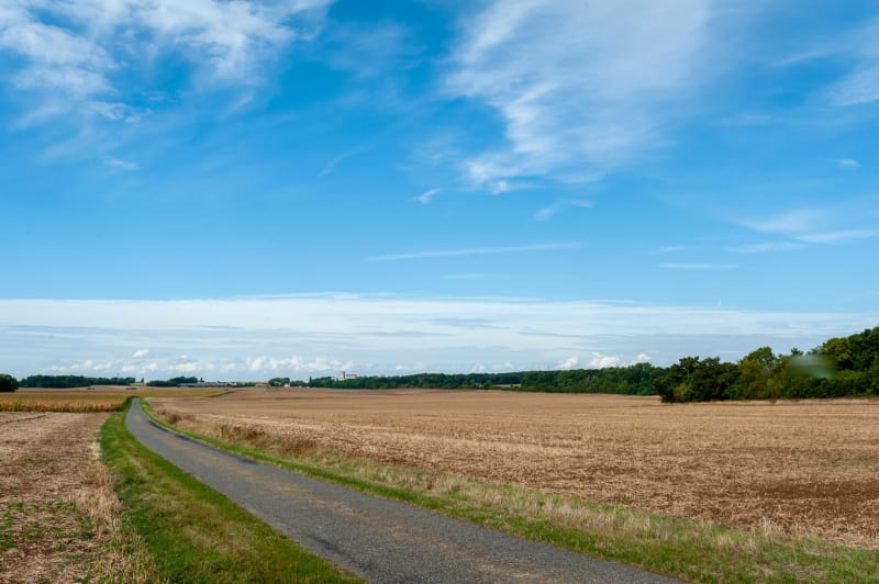 Balade 7,5km - Chaleins