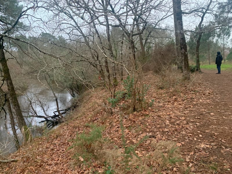 Balade le long du canal de Lège - Lège-Cap-Ferret