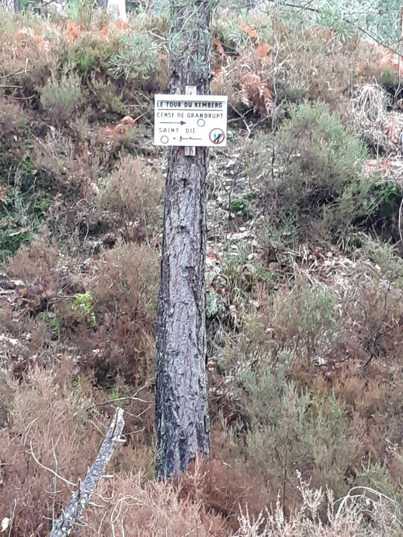 Segment du tour du Kemberg - Saint Dié les Vosges