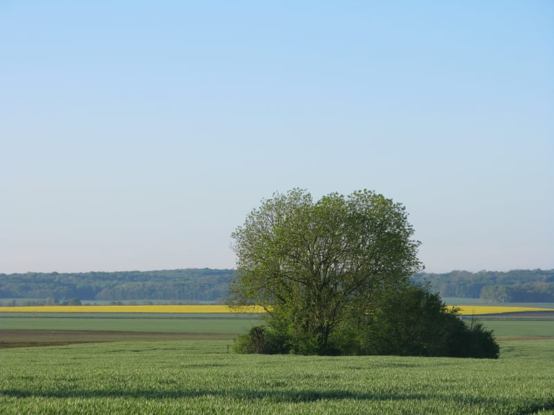Maigne Pirmil - Chantenay-Villedieu