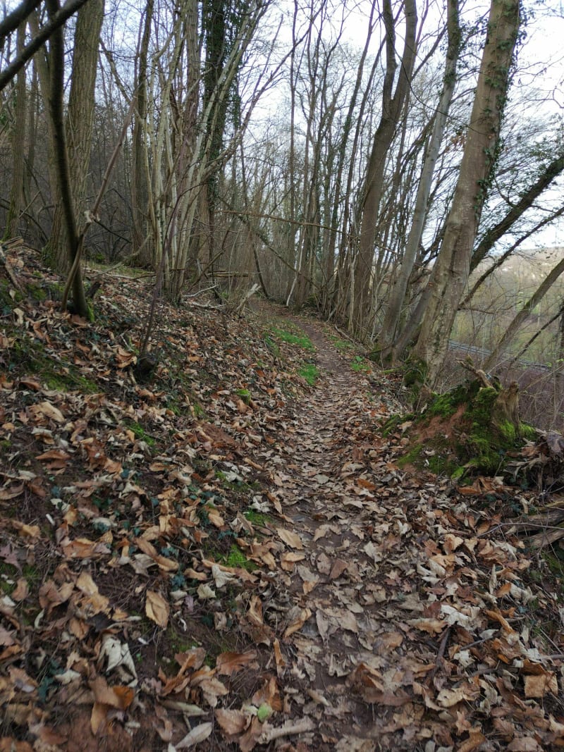 Balade le long de la Bruche, jusqu'à Gresswiller - Mutzig