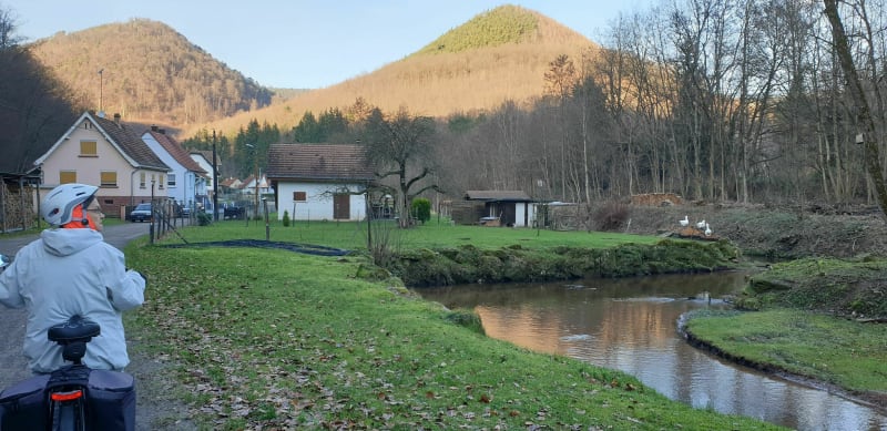 Parcours bucolique dans les Vosges du Nord - Reichshoffen