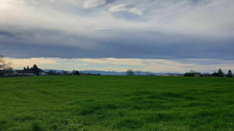 Tour d'Arzacq par lac et chemin de Gnagne - Vignes