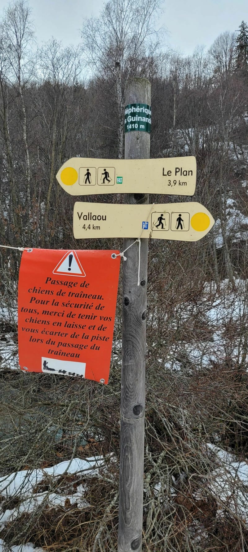 Randonnée Raquettes le long du Verdon - Allos