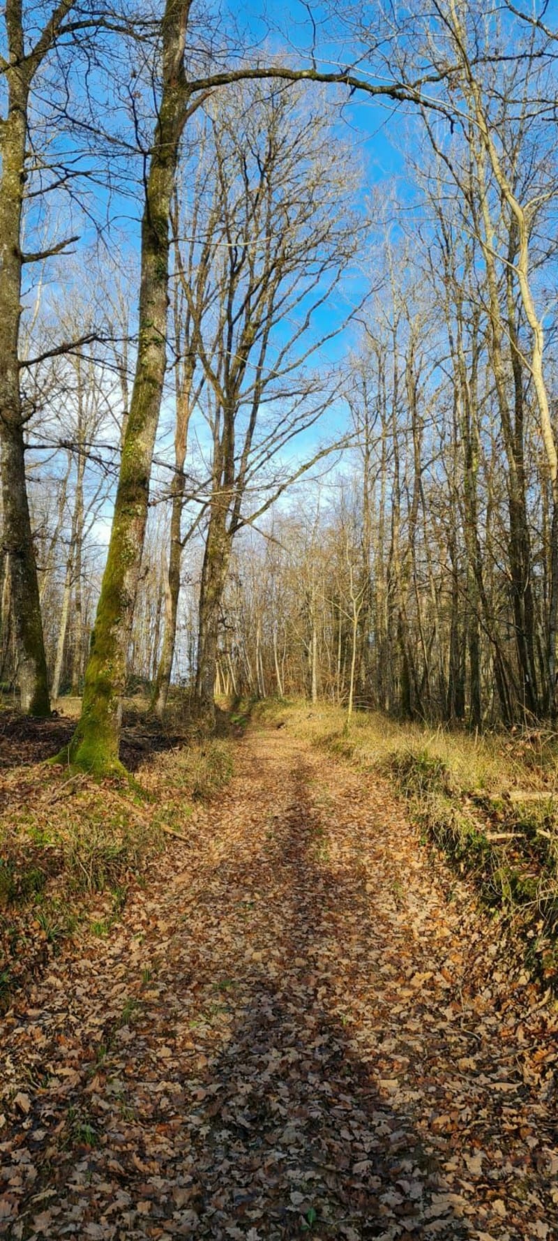 Promenade entre Wassy et Attencourt - Wassy