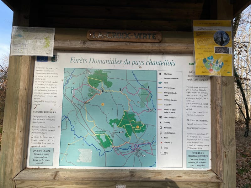 Forêt domaniale, pays Chantellais dans l’Allier en Auvergne - Deneuille-lès-Chantelle