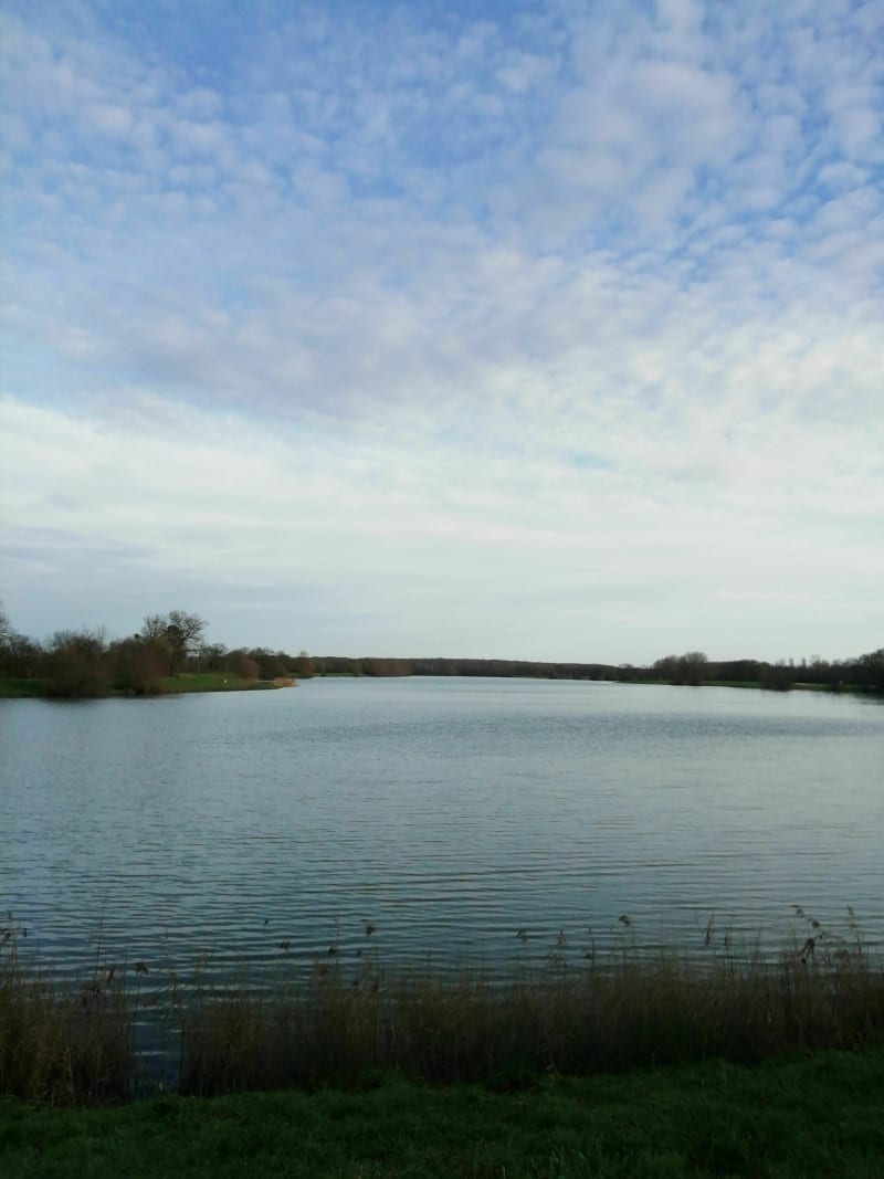 Balade autour de l'étang de la Vienne - Saint-Genou