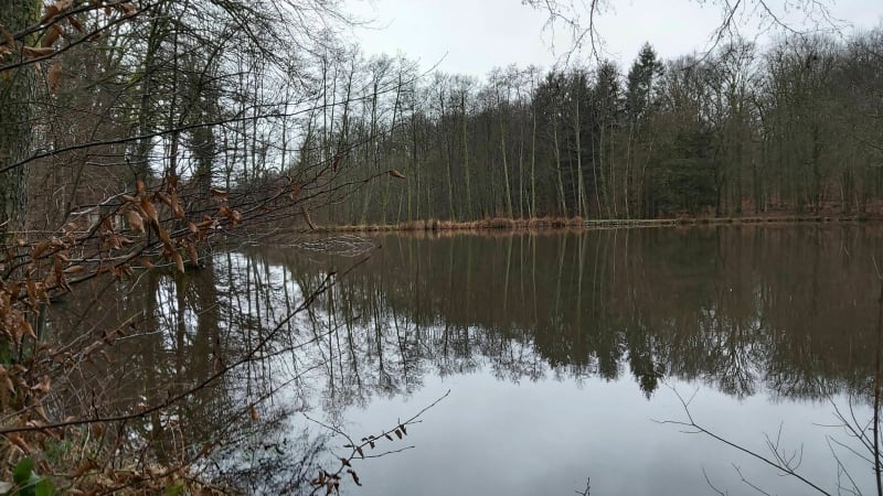 Petite rando dans les bois d'Offemont - Offemont