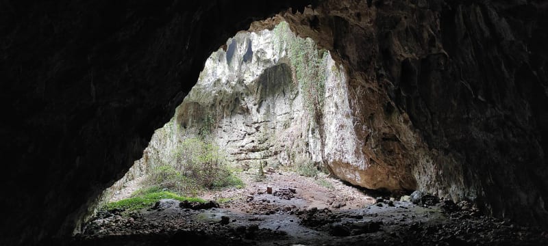 La Grotte et l'Aven de Peyre-Haute - Méjannes-le-Clap