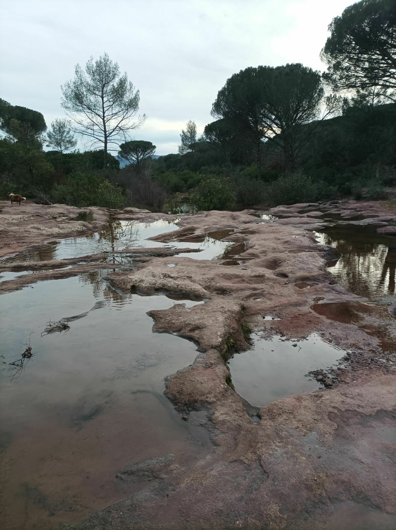 Randonnée des Vasques - Roquebrune-sur-Argens