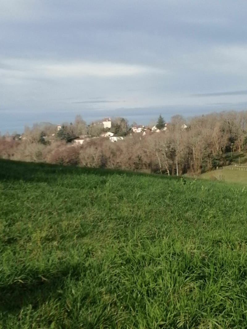 Boucle de Sallespisse - Sallespisse