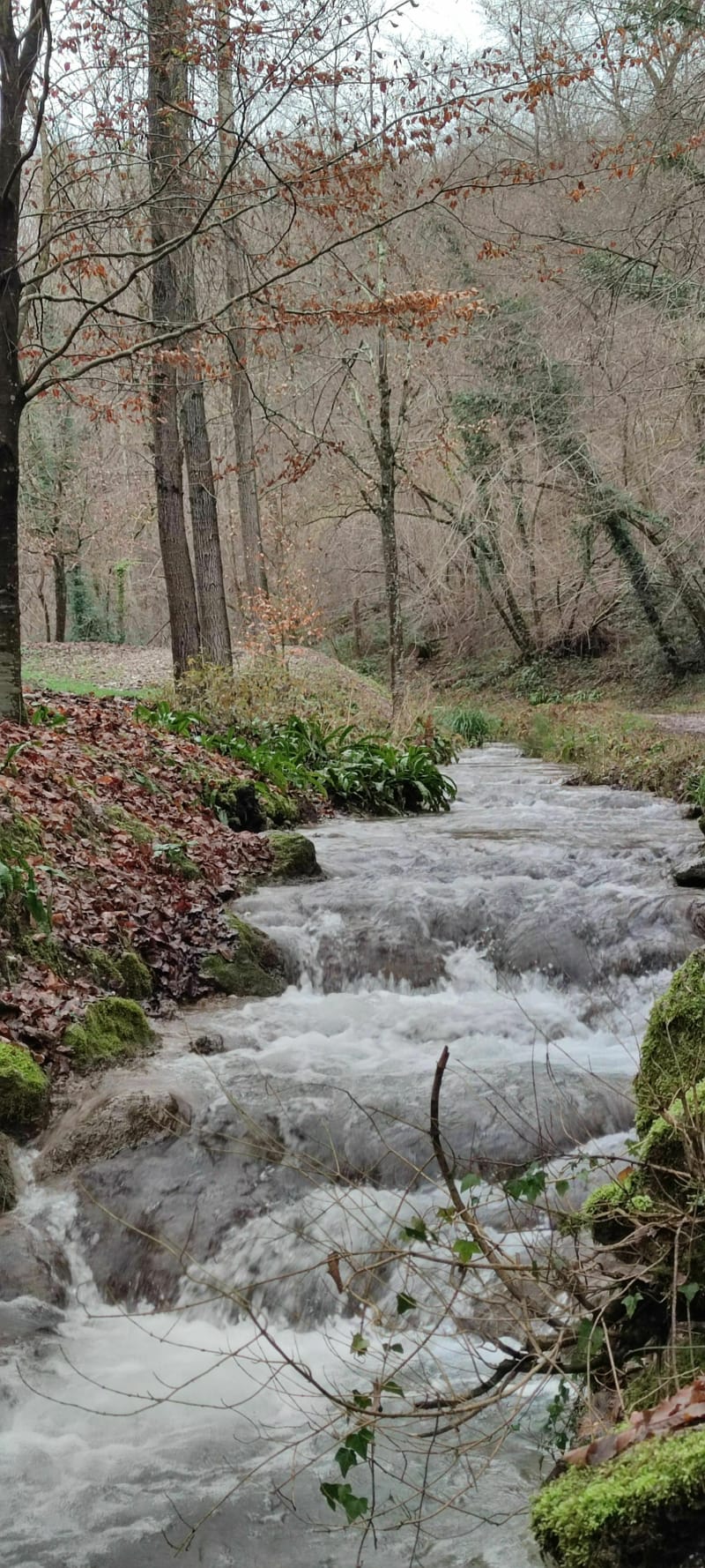 Boucle VTT entre Vourey et Charnècles - Vourey